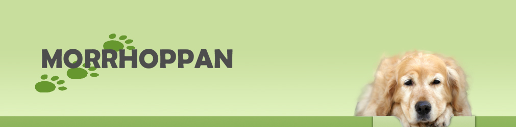 morrhoppan_0.jpg